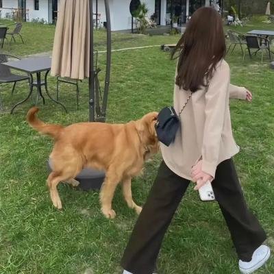 这里的黎明静悄悄