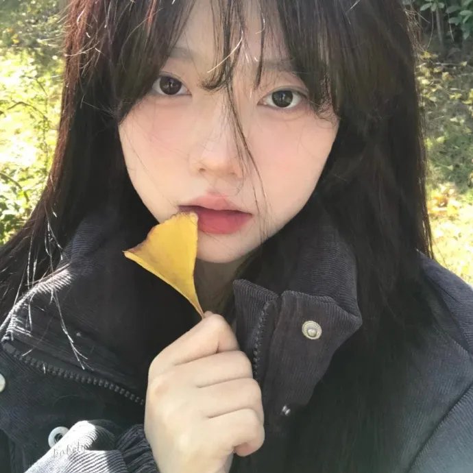 痴呆的真相